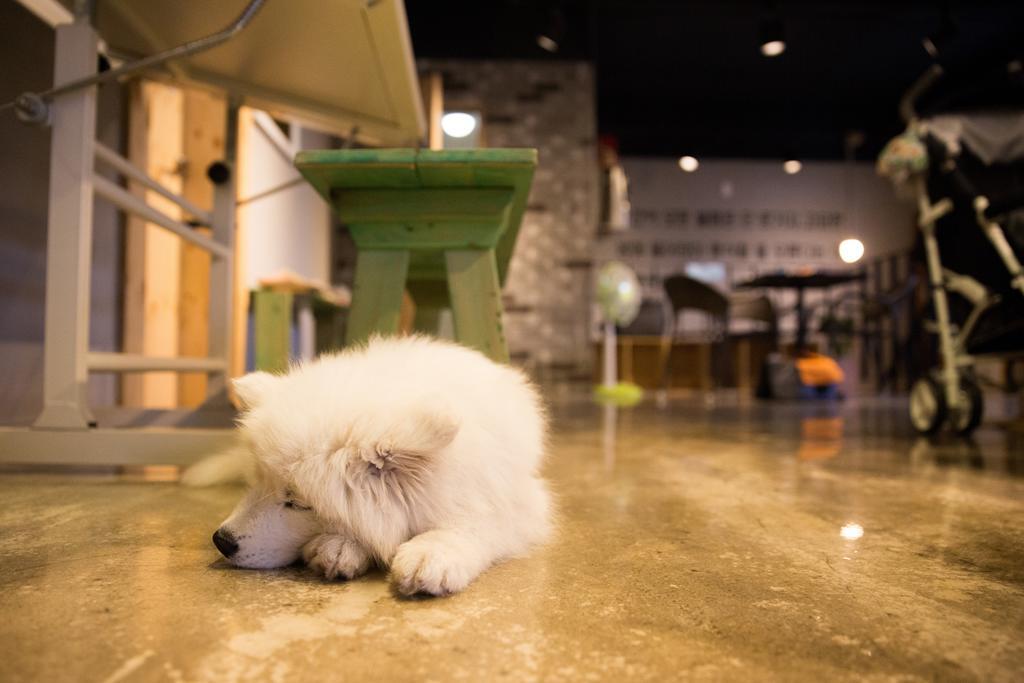 Suncheon Guesthouse Nreem Kültér fotó